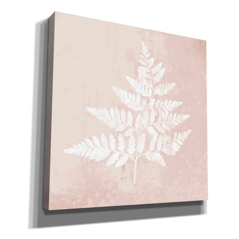 Image of 'Blush Fern I' by House Fenway, Canvas Wall Art