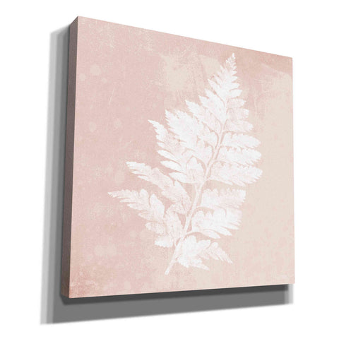 Image of 'Blush Fern II' by House Fenway, Canvas Wall Art