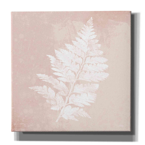 Image of 'Blush Fern II' by House Fenway, Canvas Wall Art