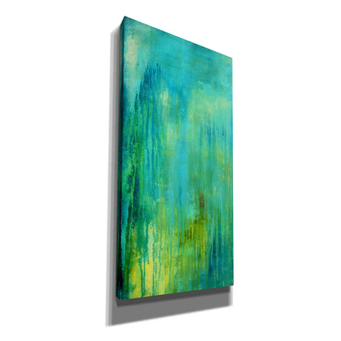Image of 'Blue Mountain Rain I' by Erin Ashley, Canvas Wall Art