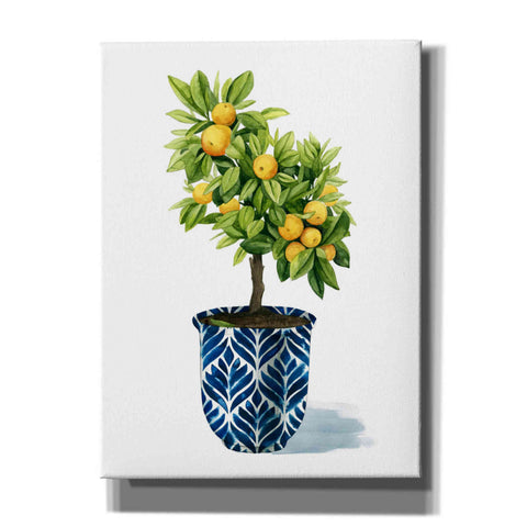 Image of 'Fruit Tree I' by Grace Popp, Canvas Wall Art