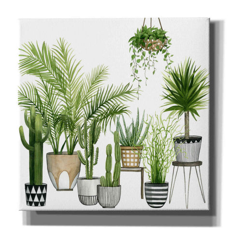 Image of 'Plant Haven II' by Grace Popp, Canvas Wall Art