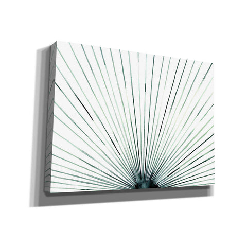 Image of 'Strobe I' by Grace Popp, Canvas Wall Art