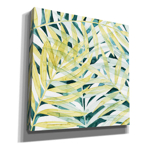 Image of 'Sunlit Palms II' by Grace Popp, Canvas Wall Art