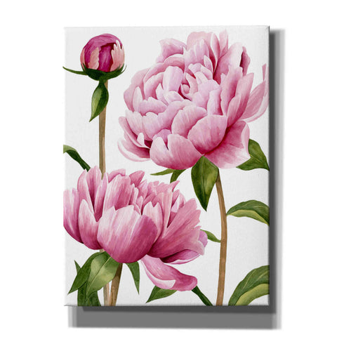 Image of 'Winsome Peonies I' by Grace Popp, Canvas Wall Art
