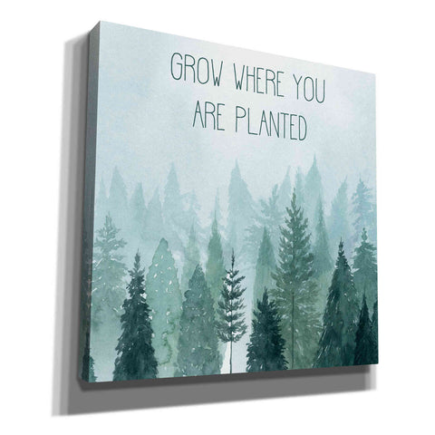 Image of 'Little Grower II' by Grace Popp, Canvas Wall Art