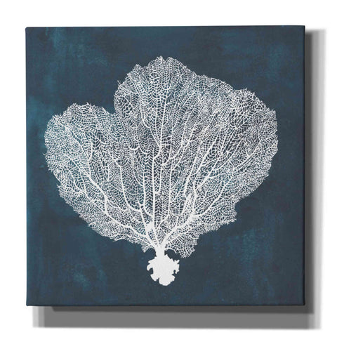 Image of 'Inverse Sea Fan I' by Grace Popp, Canvas Wall Art