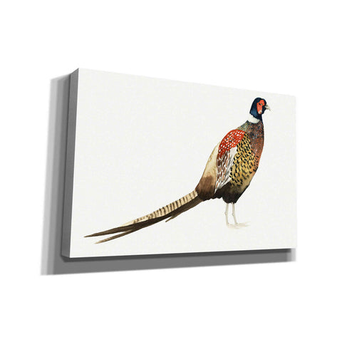 Image of 'Watercolor Pheasant I' by Grace Popp, Canvas Wall Art