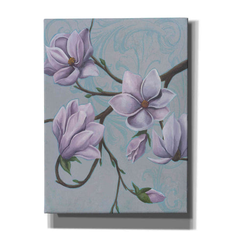 Image of 'Branches of Magnolia I' by Grace Popp, Canvas Wall Art
