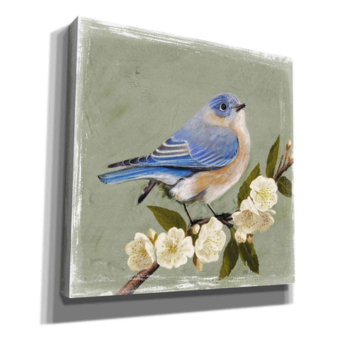Image of 'Bluebird Branch I' by Victoria Borges, Canvas Wall Art