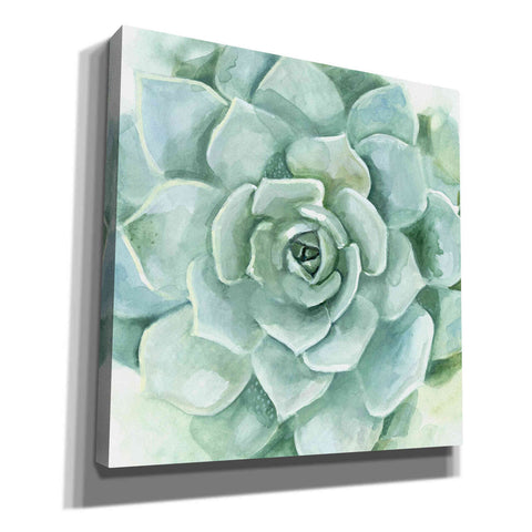 Image of 'Verdant Succulent I' by Victoria Borges, Canvas Wall Art