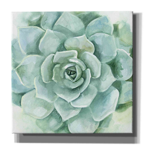 Image of 'Verdant Succulent I' by Victoria Borges, Canvas Wall Art