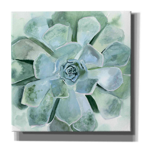 Image of 'Verdant Succulent III' by Victoria Borges, Canvas Wall Art