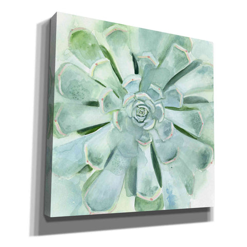 Image of 'Verdant Succulent IV' by Victoria Borges, Canvas Wall Art