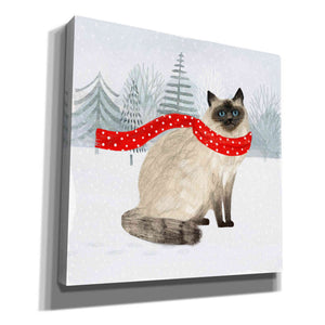 'Christmas Cats & Dogs III' by Victoria Borges, Canvas Wall Art