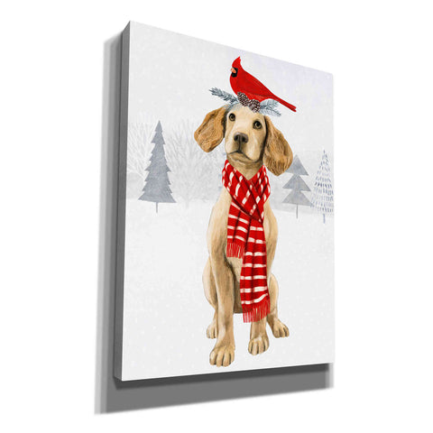 Image of 'Christmas Cats & Dogs V' by Victoria Borges, Canvas Wall Art