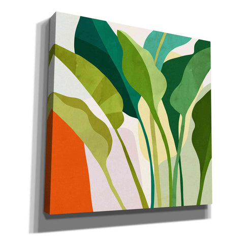 Image of 'Tropica I' by Victoria Borges, Canvas Wall Art