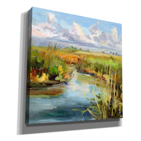 Image of 'Afternoon Skies' by Carol Hallock, Canvas Wall Art