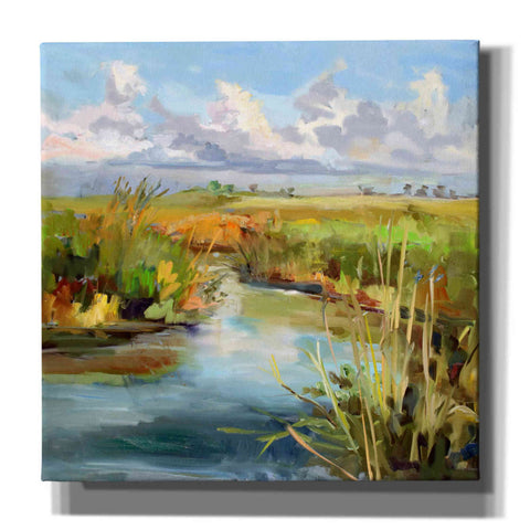 Image of 'Afternoon Skies' by Carol Hallock, Canvas Wall Art