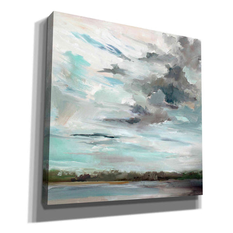 Image of 'Cloudy Days Don't Get Me Down' by Carol Hallock, Canvas Wall Art