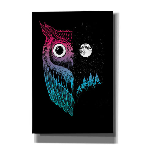 Image of 'Night Owl' by Michael Buxton, Canvas Wall Art