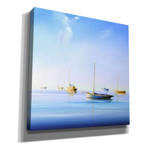 'Blue Couta 2' by Craig Trewin Penny, Canvas Wall Art