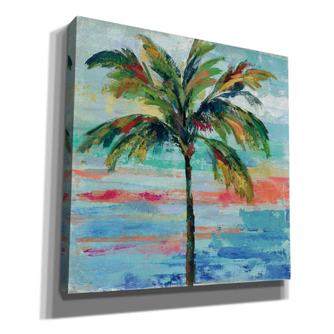Image of 'California Palm II' by Silvia Vassileva, Canvas Wall Art,Size 1 Square