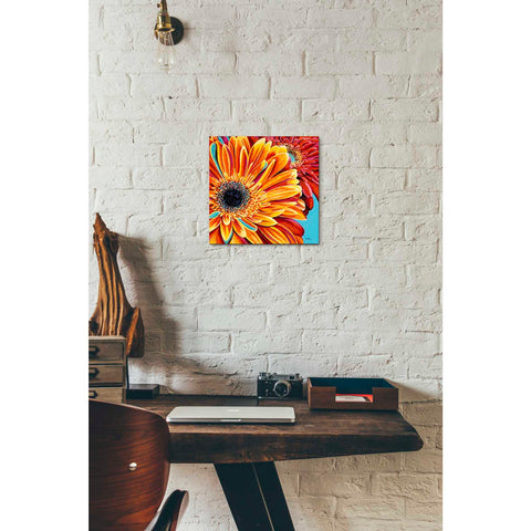 Image of 'Color Bursts II' by Carolee Vitaletti, Giclee Canvas Wall Art