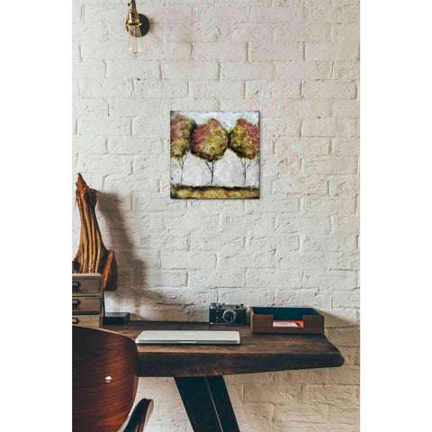 Image of 'A Fall Stroll' by Britt Hallowell, Canvas Wall Art,12 x 12