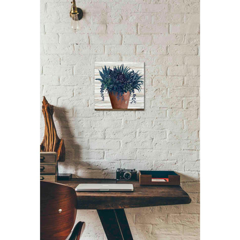 Image of 'Remarkable Succulents II' by Cindy Jacobs, Canvas Wall Art,12 x 12