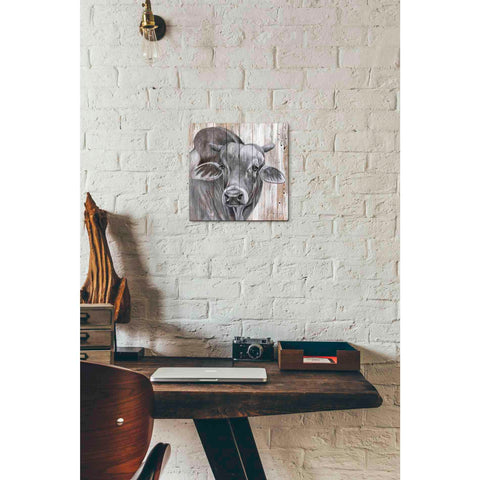 Image of 'Eyes Wide Open' by Diane Fifer, Giclee Canvas Wall Art