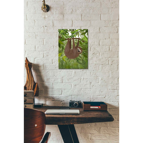 Image of 'Sloth Hanging Around' by Fab Funky, Giclee Canvas Wall Art