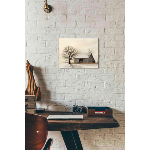 Image of 'Winter Shadows' by Lori Deiter, Canvas Wall Art,16 x 12