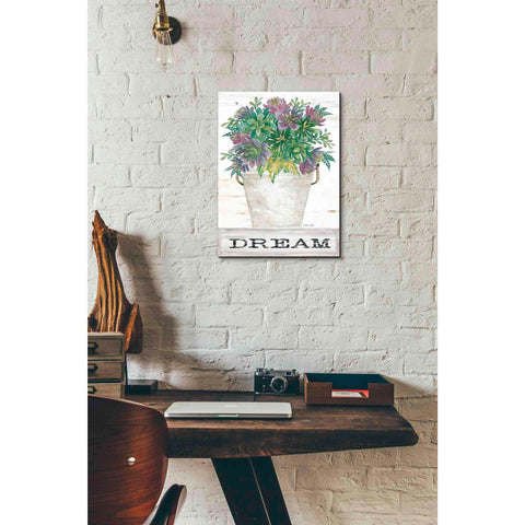 Image of 'Dream Succulents' by Cindy Jacobs, Canvas Wall Art,12 x 16