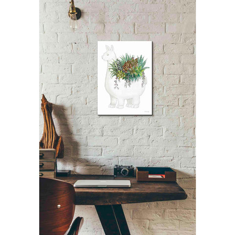 Image of 'Proud Llama Pot II' by Cindy Jacobs, Canvas Wall Art,12 x 16