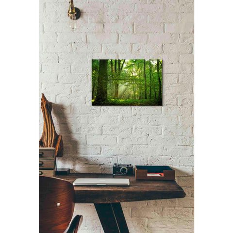 Image of 'Breathe' by Lars van de Goor, Giclee Canvas Wall Art