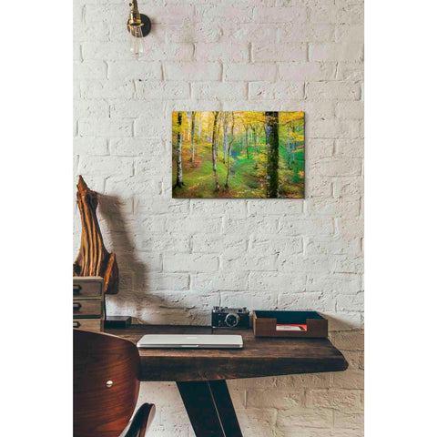 Image of 'Dream of Birches' by Lars van de Goor, Giclee Canvas Wall Art