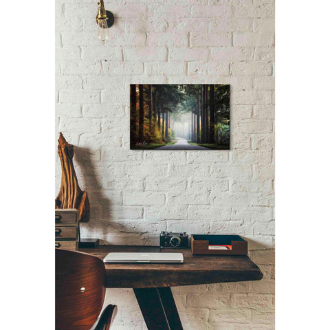 Image of 'Mysterious Roads' by Martin Podt, Canvas Wall Art,18 x 12