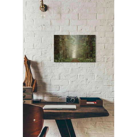 Image of 'Misty Spring Road' by Martin Podt, Canvas Wall Art,18 x 12