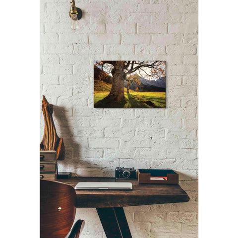 Image of 'The Star' by Martin Podt, Canvas Wall Art,18 x 12