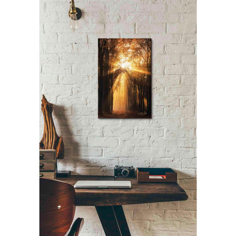 Image of 'Sunburst' by Martin Podt, Canvas Wall Art,12 x 18