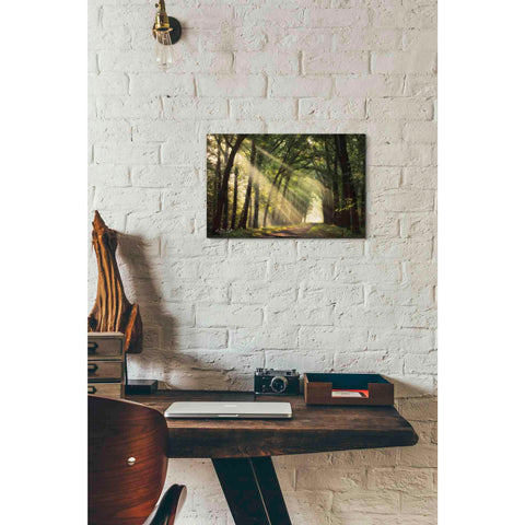 Image of 'The Light of Lochem' by Martin Podt, Canvas Wall Art,18 x 12