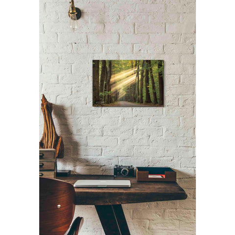 Image of 'Rayzor Light' by Martin Podt, Canvas Wall Art,18 x 12