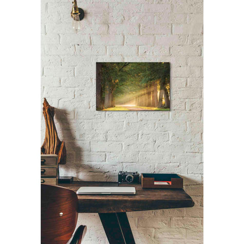 Image of 'Perfect Place to Sit' by Martin Podt, Canvas Wall Art,18 x 12