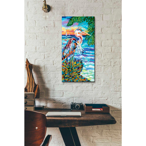 Image of 'Beach Comber I' by Carolee Vitaletti, Giclee Canvas Wall Art