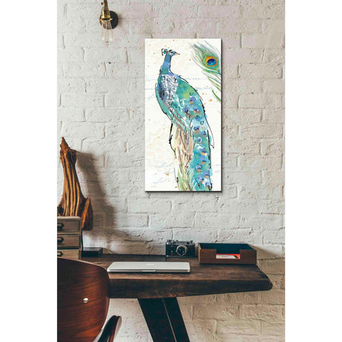 Image of 'Peacock Garden IV' by Anne Tavoletti, Canvas Wall Art,12 x 24