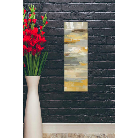 Image of "Earth Abstracts II" by Silvia Vassileva, Canvas Wall Art,12 x 36