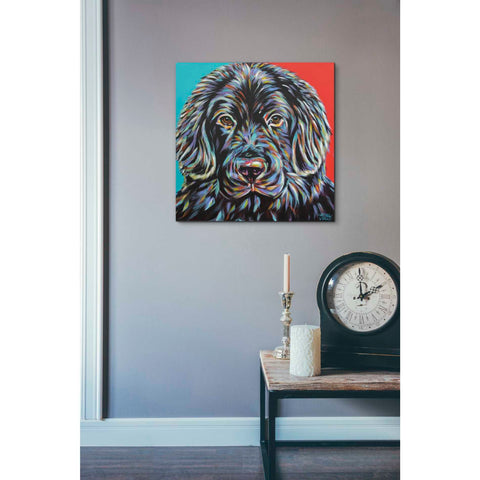 Image of 'Canine Buddy I' by Carolee Vitaletti, Giclee Canvas Wall Art