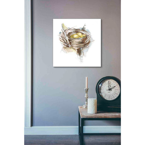 Image of 'Bird Nest Study III' by Ethan Harper, Canvas Wall Art,18 x 18