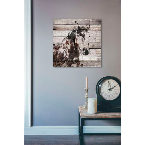 Image of 'Poly 2' by Irena Orlov, Canvas Wall Art,18 x 18